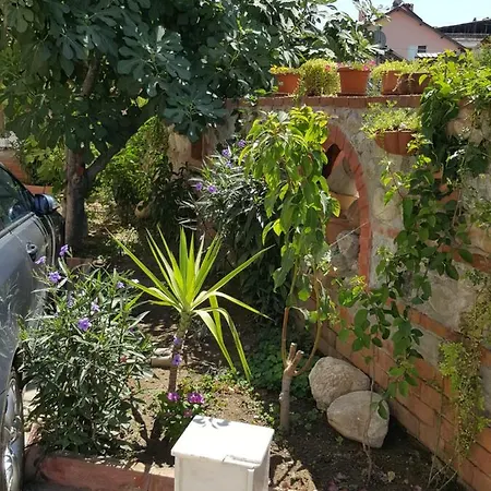 Karya Koycegiz (Mugla)