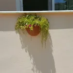 Apartamento Karya Koycegiz (Mugla)